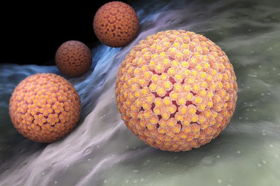Magnífica Ilustração 3D de um vírus HPV