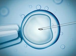 Ilustração 3D de fertilização in vitro de um óvulo feminino