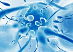 Linda ilustração 3D de espermatozoides correndo em direção a um óvulo feminino para fecundá-lo