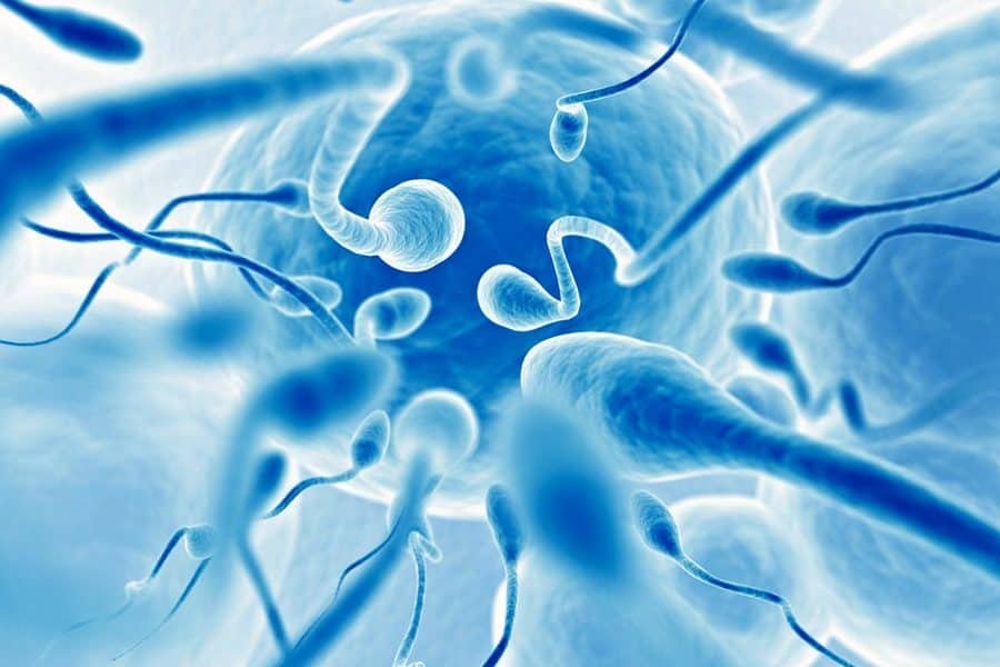 Linda ilustração 3D de espermatozoides correndo em direção a um óvulo feminino para fecundá-lo